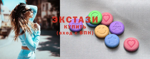 ECSTASY Богородицк